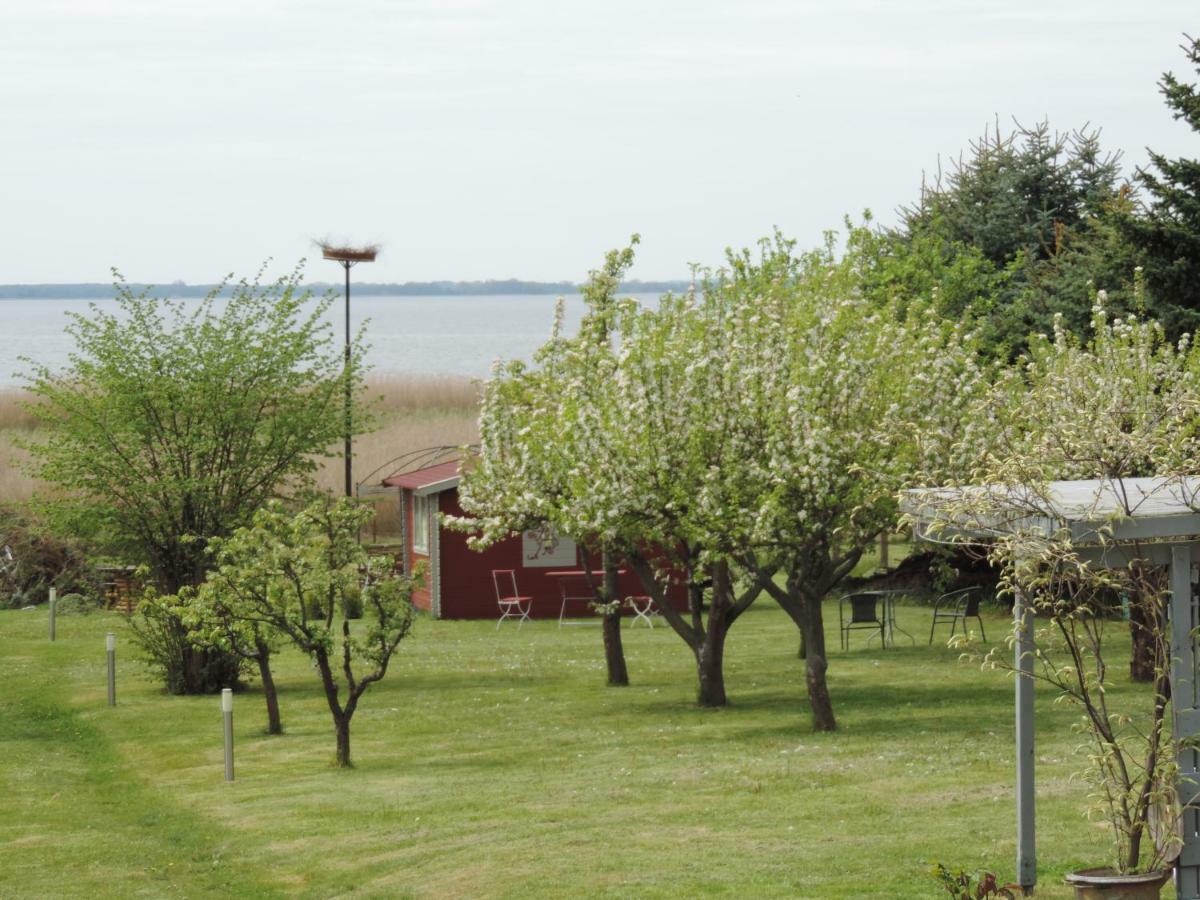Pension Achteridyll Иккериц Экстерьер фото